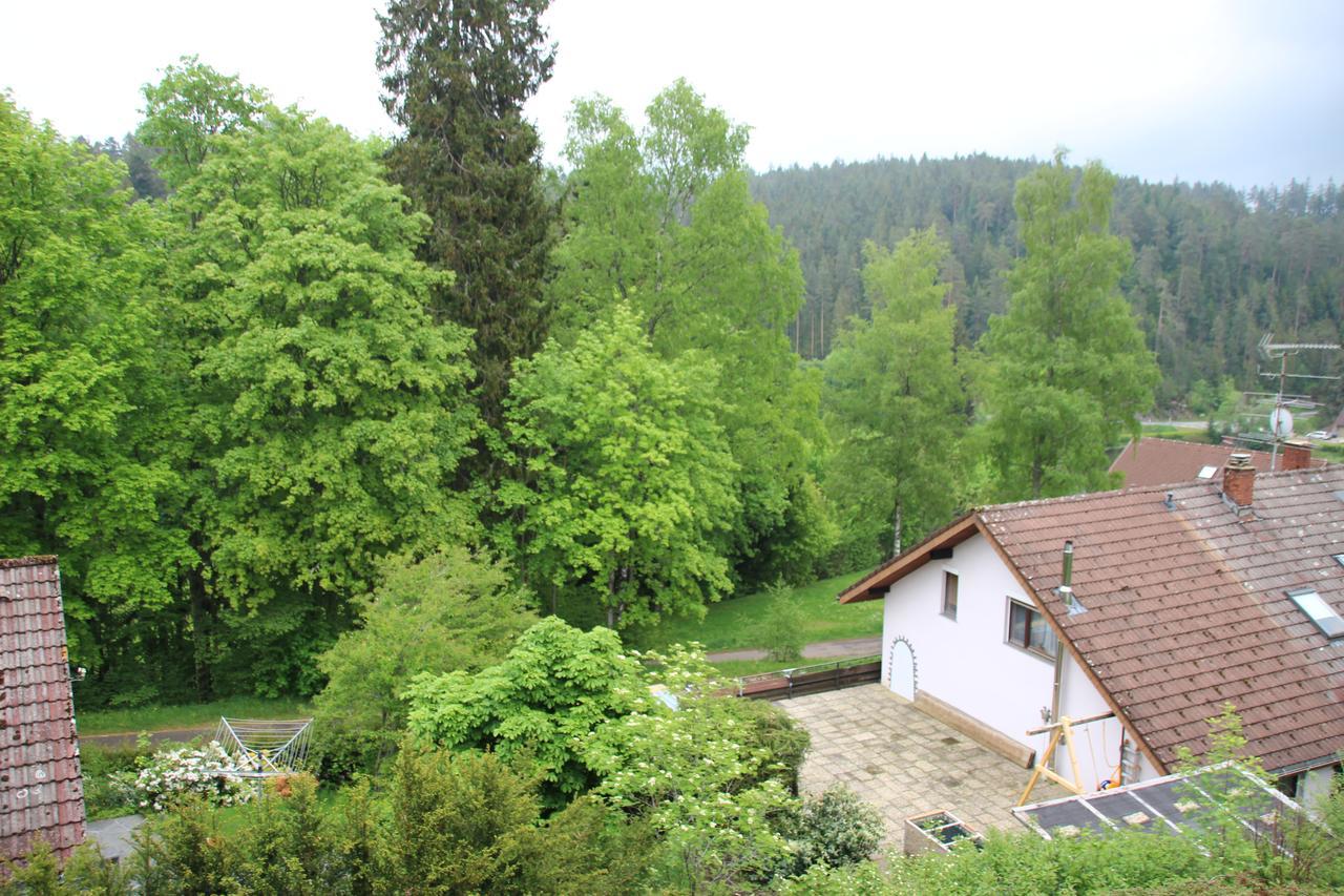 Kuckucksnester Friedenweiler Екстер'єр фото