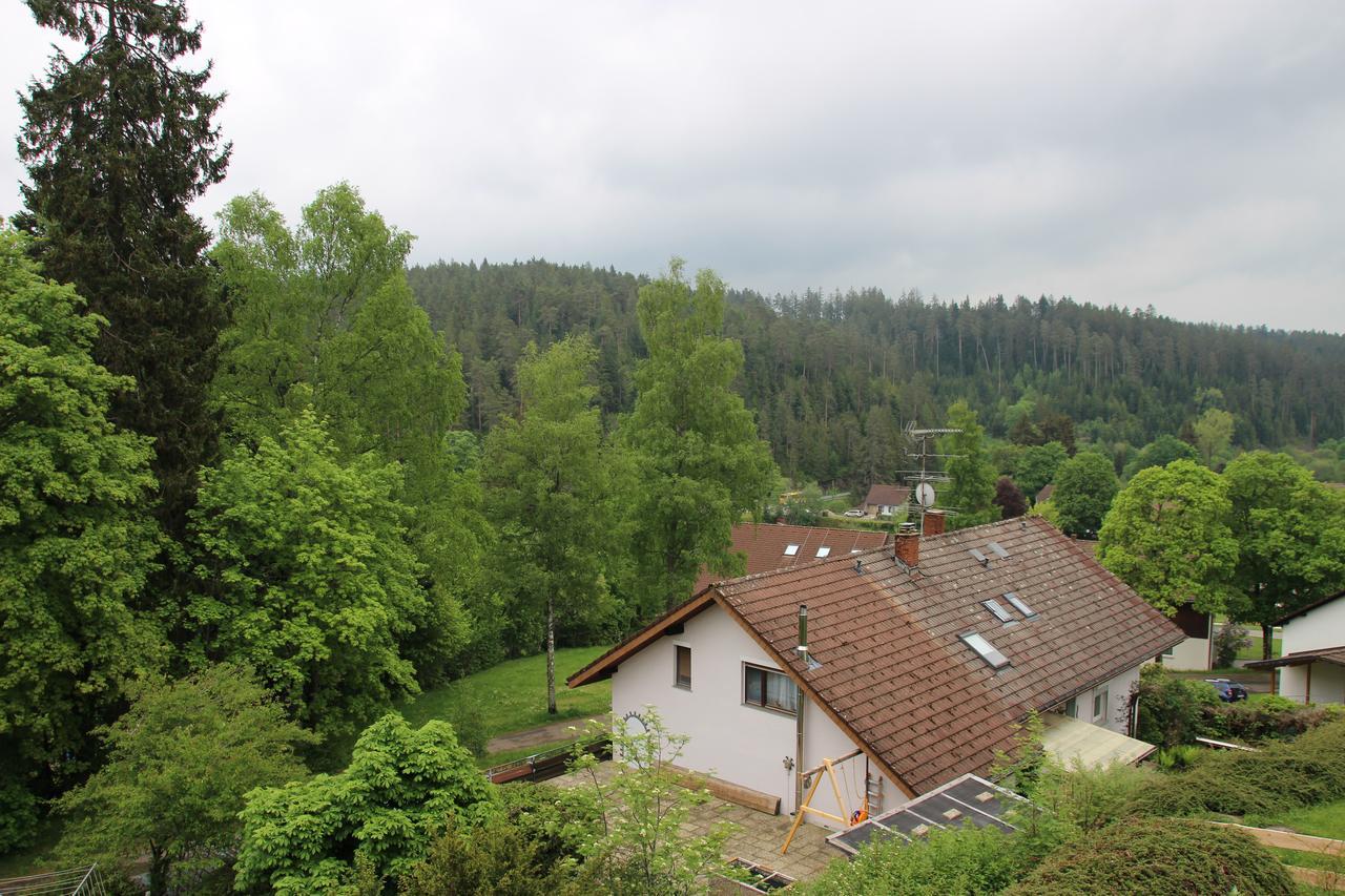 Kuckucksnester Friedenweiler Екстер'єр фото